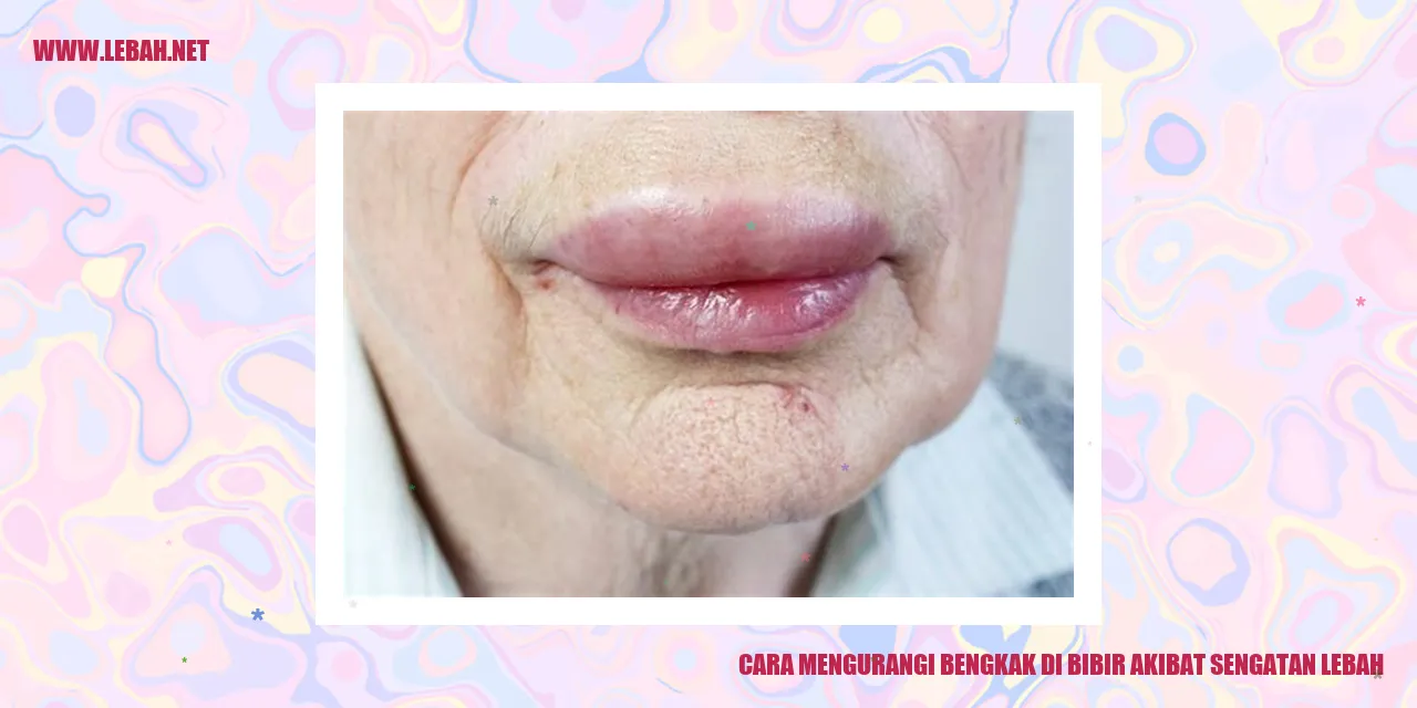 cara mengurangi bengkak di bibir akibat sengatan lebah