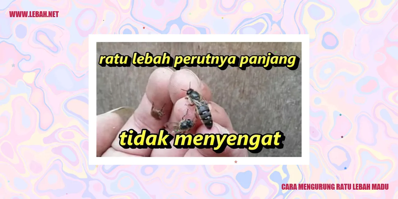 cara mengurung ratu lebah madu