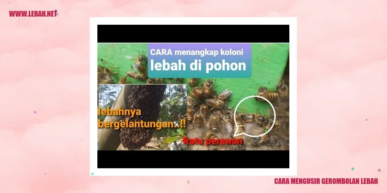 Cara Mengusir Gerombolan Lebah