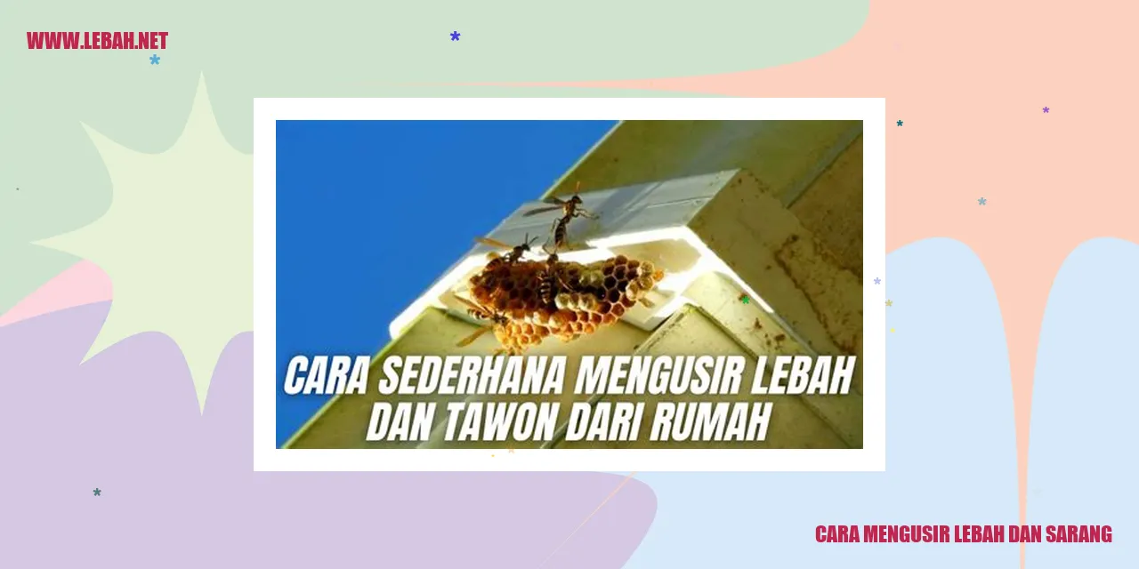 cara mengusir lebah dan sarang