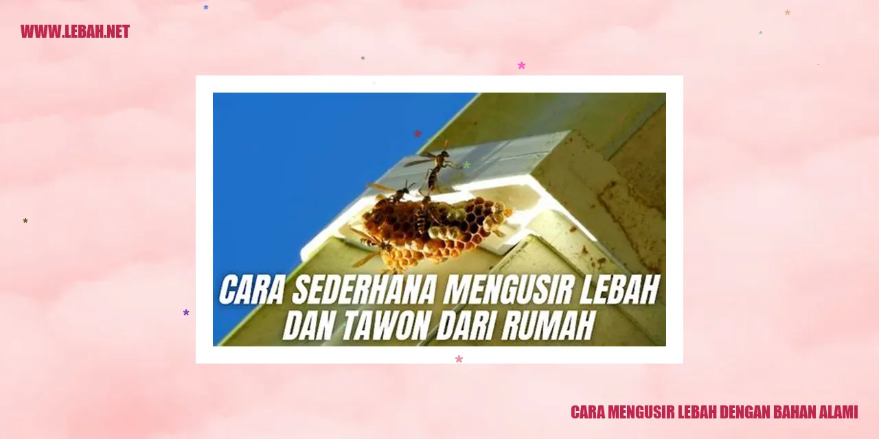 cara mengusir lebah dengan bahan alami
