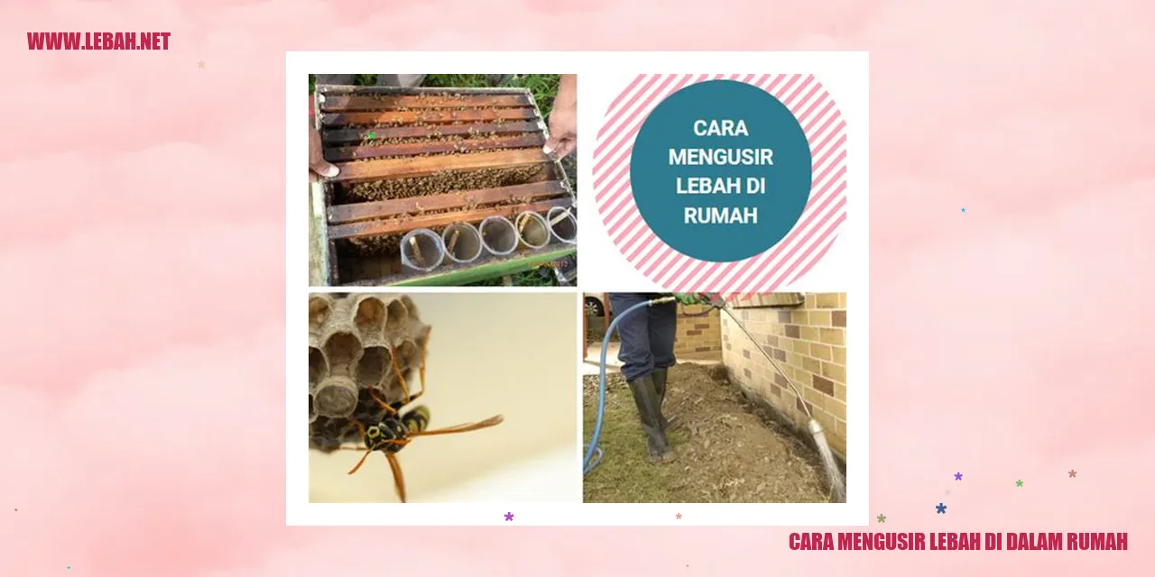 cara mengusir lebah di dalam rumah