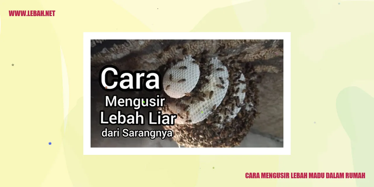 cara mengusir lebah madu dalam rumah