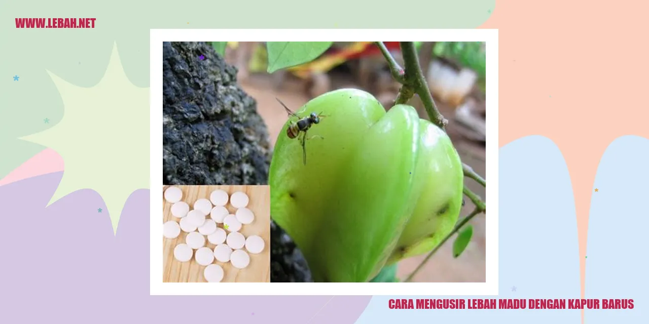 cara mengusir lebah madu dengan kapur barus