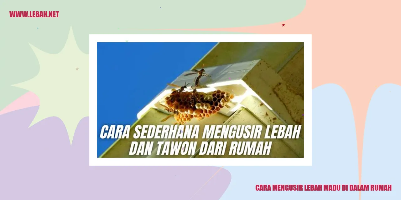 cara mengusir lebah madu di dalam rumah