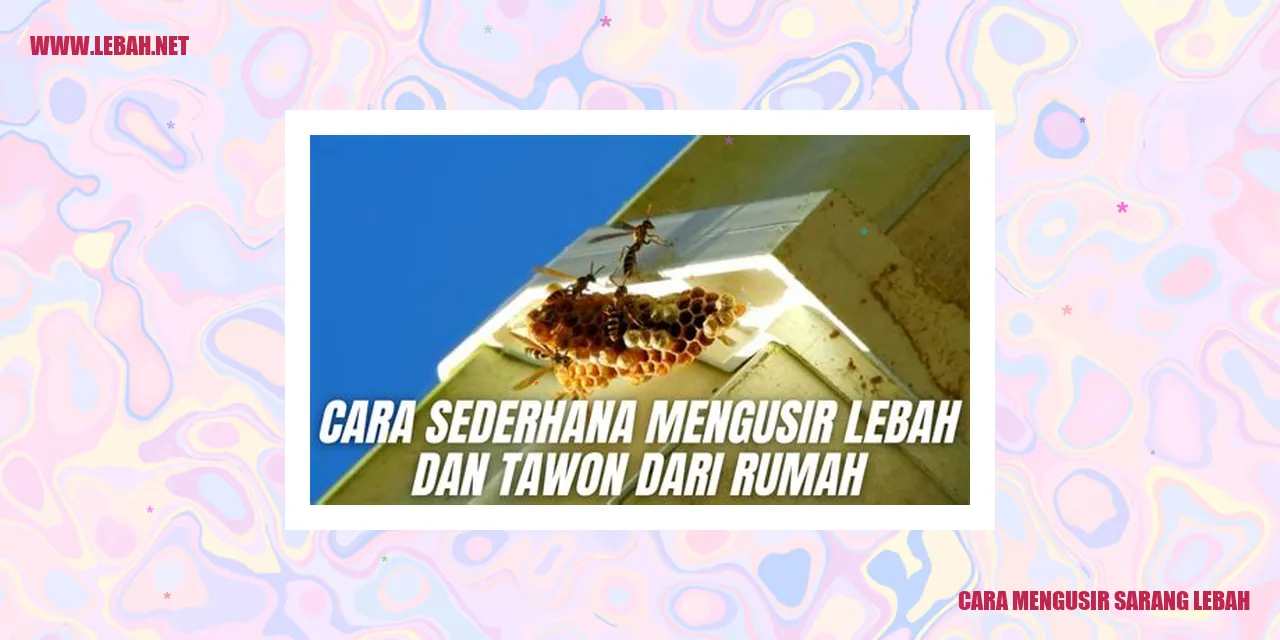 cara mengusir sarang lebah
