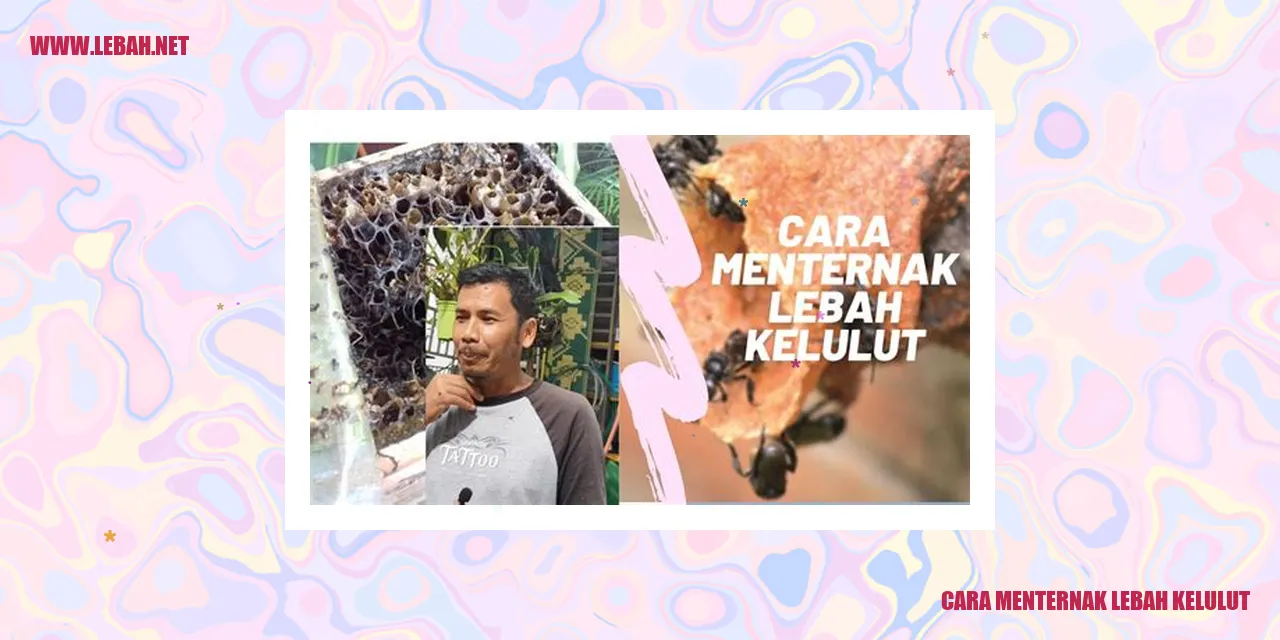 Sarang Lebah Kelulut