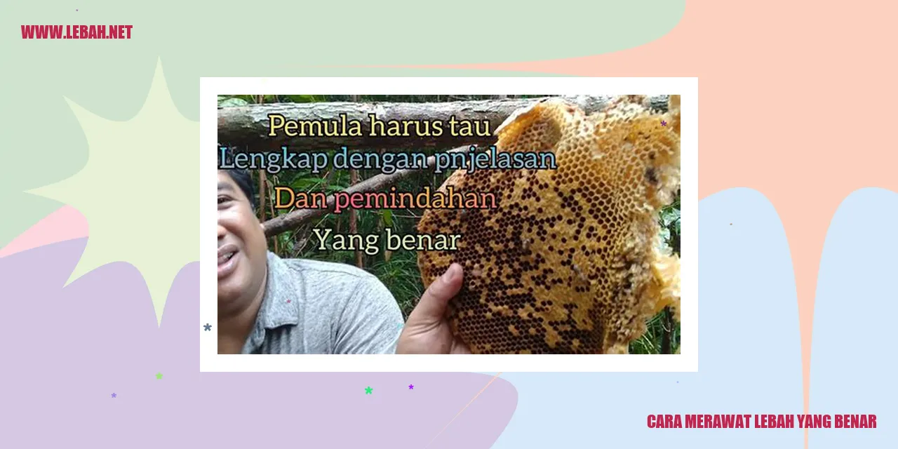 Cara Merawat Lebah yang Benar