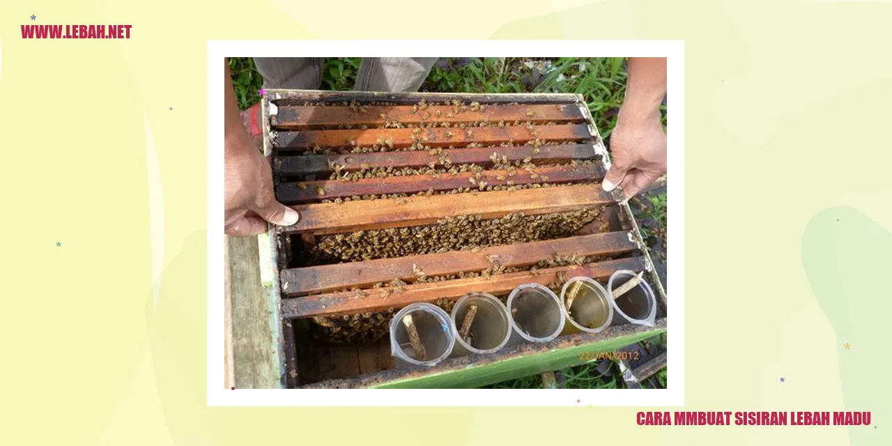 Gambar sisiran lebah madu