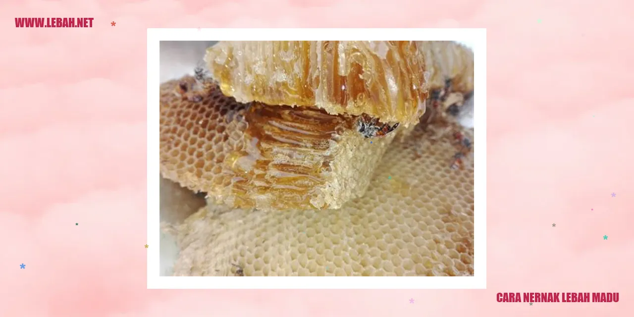 cara menernak lebah madu