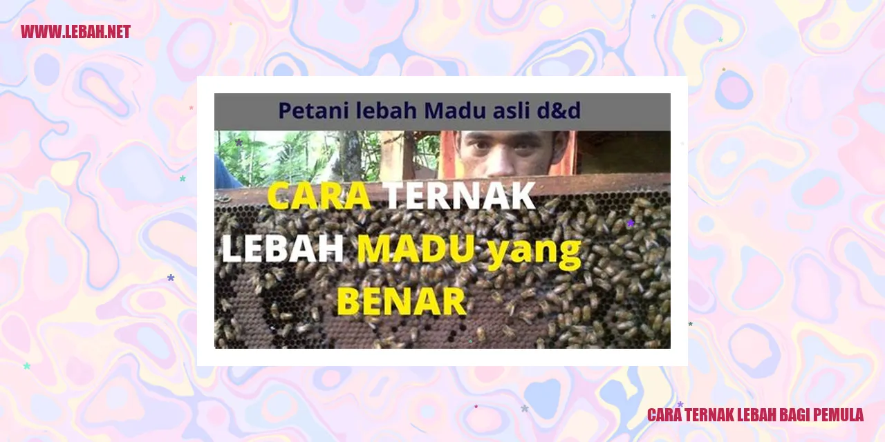 cara ternak lebah bagi pemula