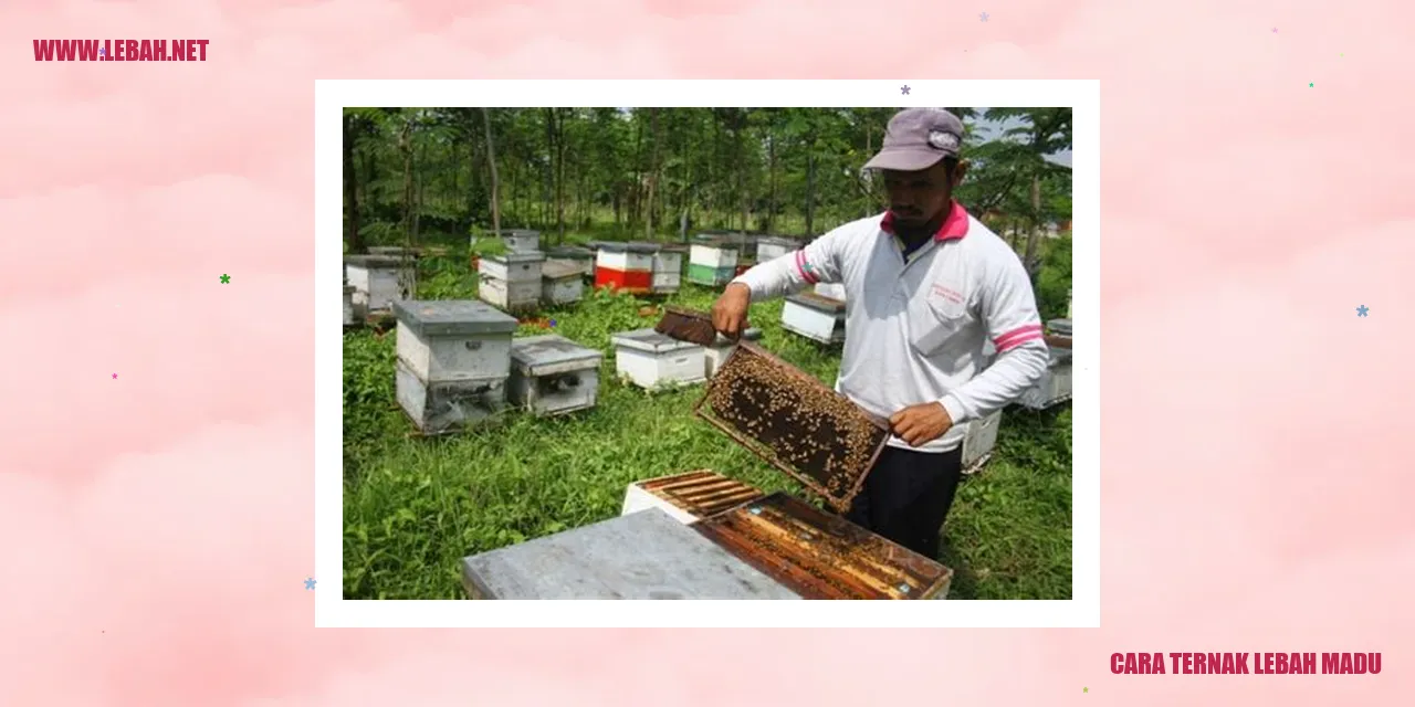 Ternak Lebah Madu