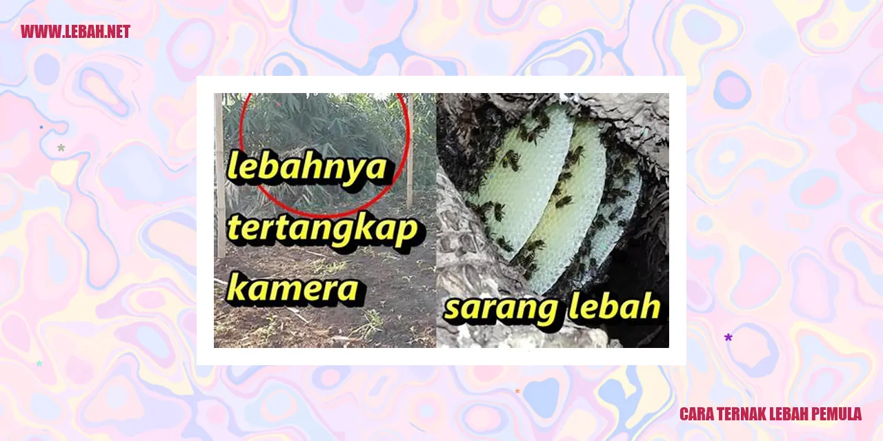 Ternak Lebah