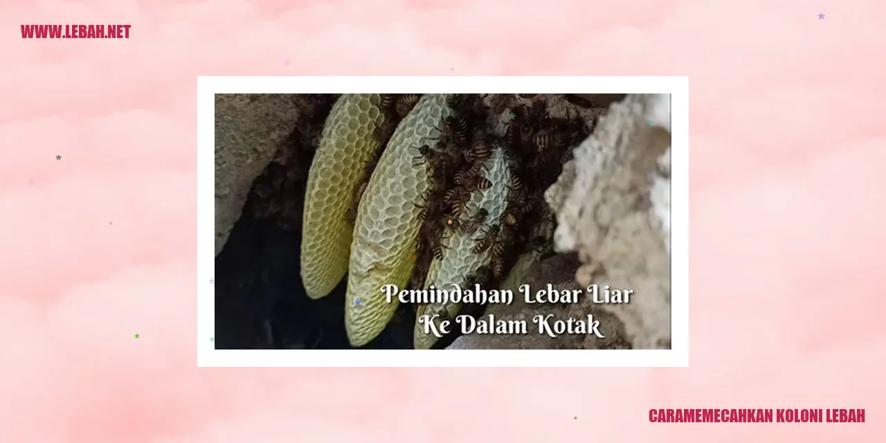 Lebah