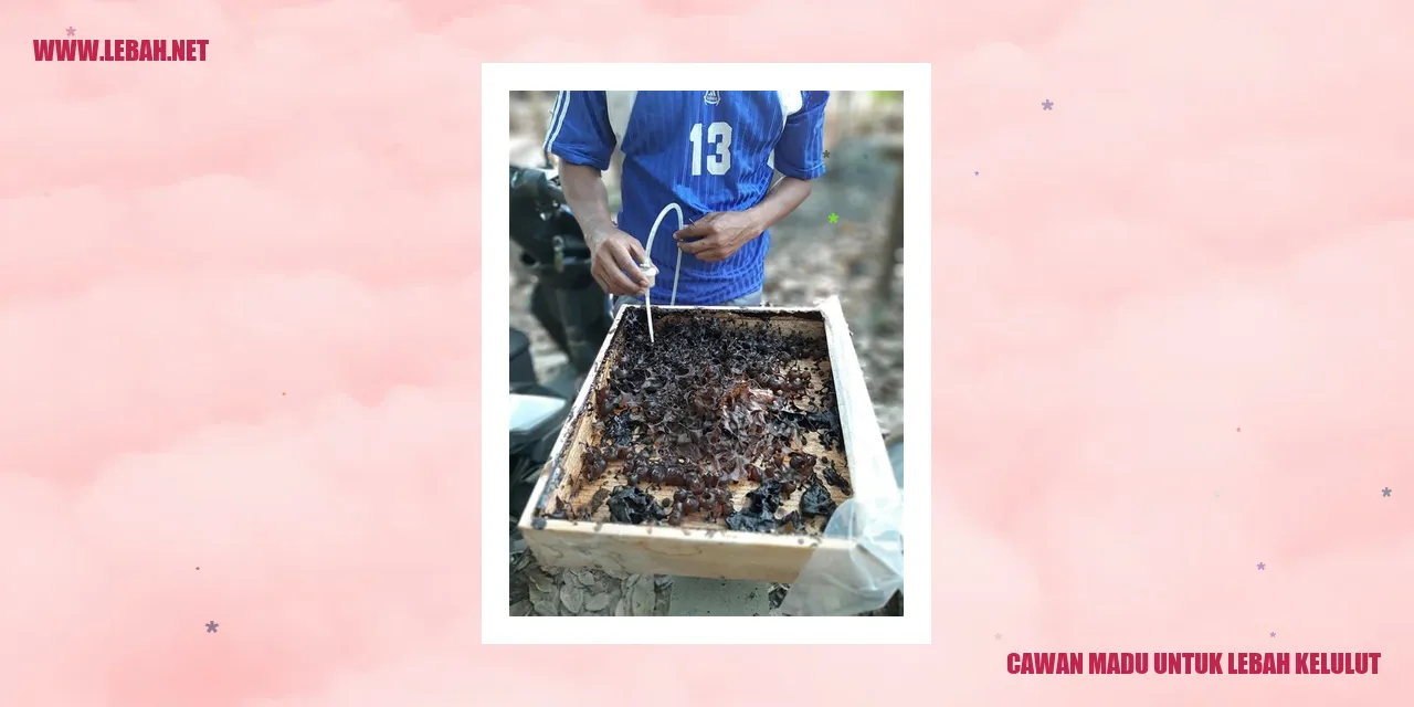 Cawan Madu untuk Lebah Kelulut