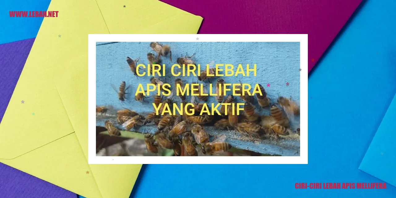 Lebah Apis Mellifera