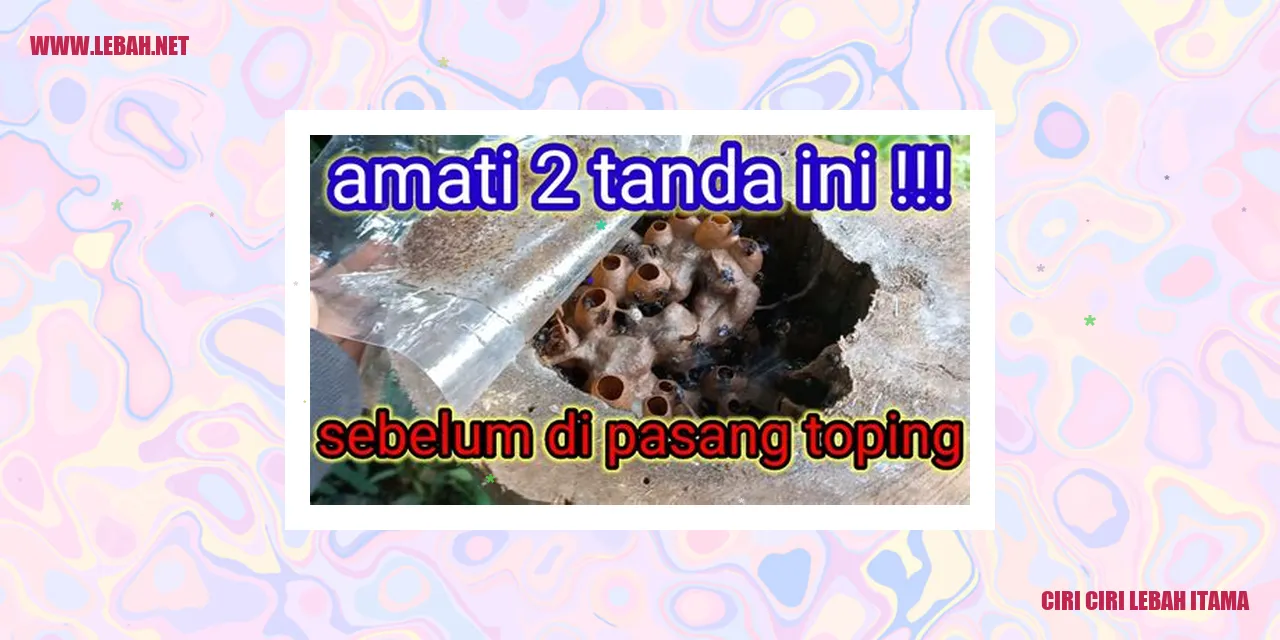 Lebah Itama