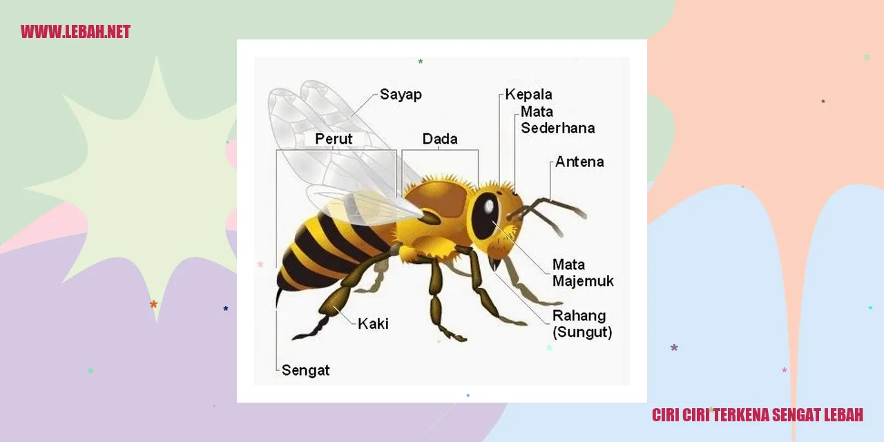 Ciri-ciri Sengatan Lebah