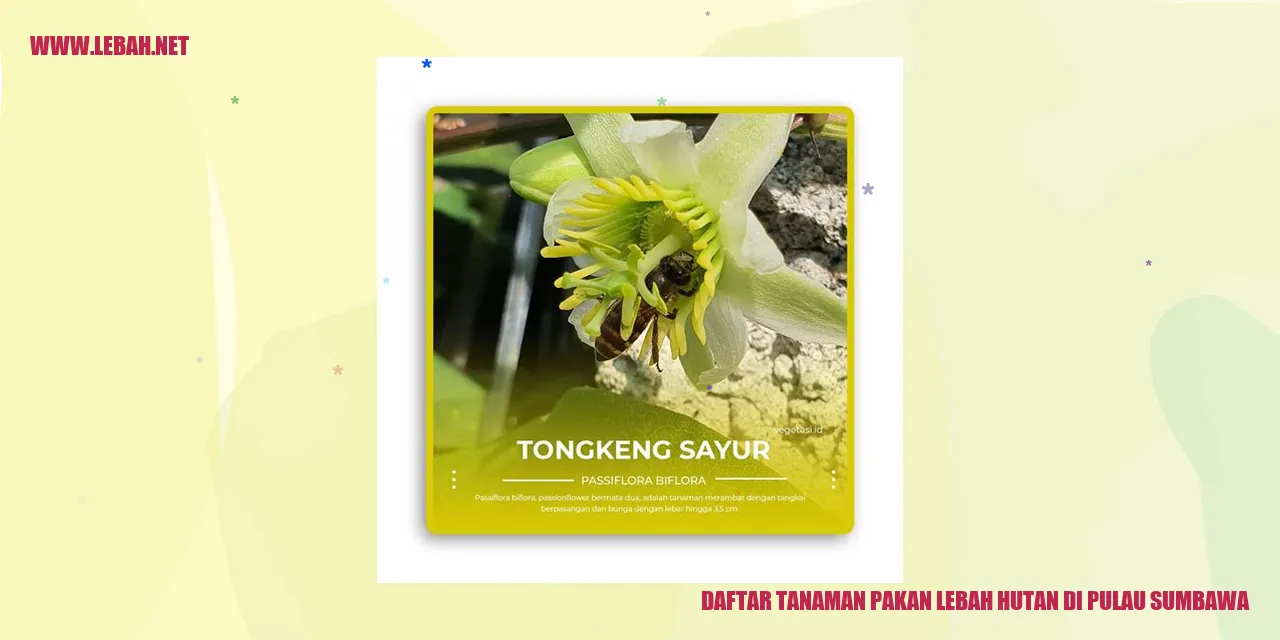 rambutan