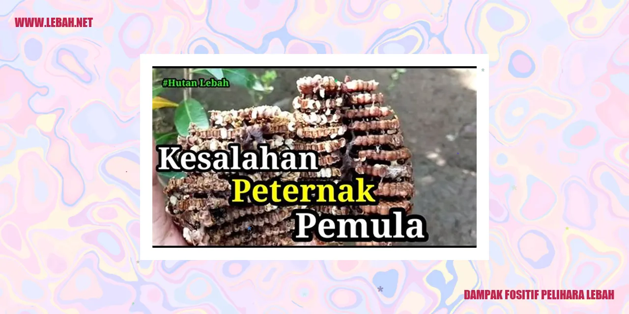 Dampak Positif Pelihara Lebah