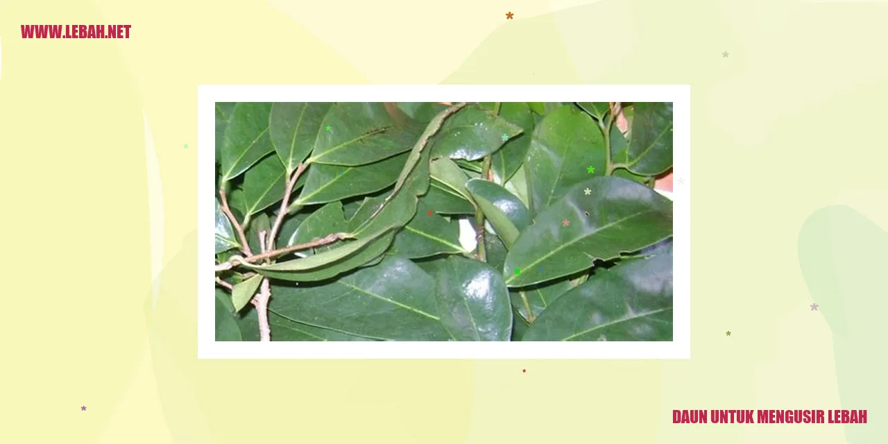 Daun untuk Mengusir Lebah