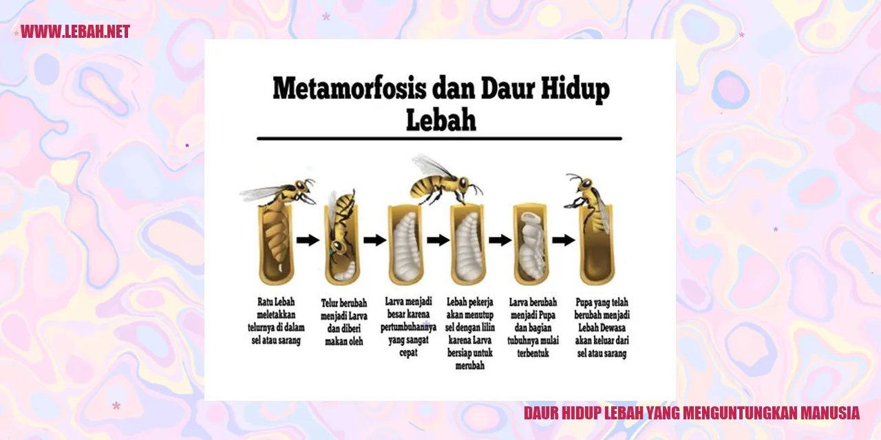 Daur Hidup Lebah