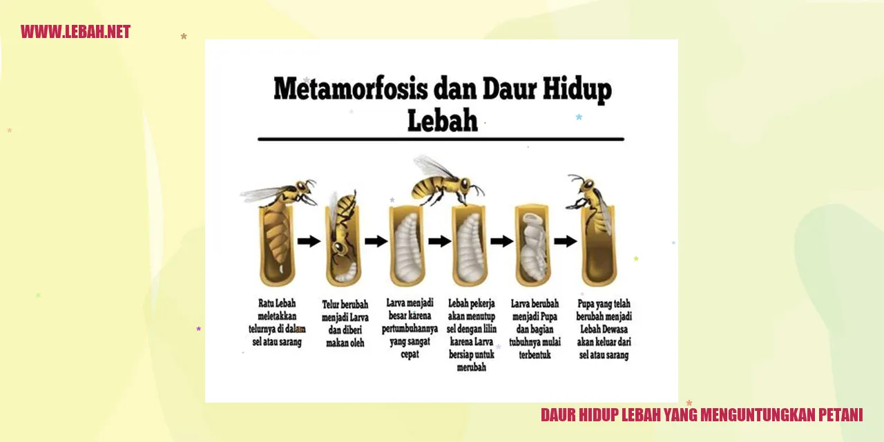 daur hidup lebah yang menguntungkan petani