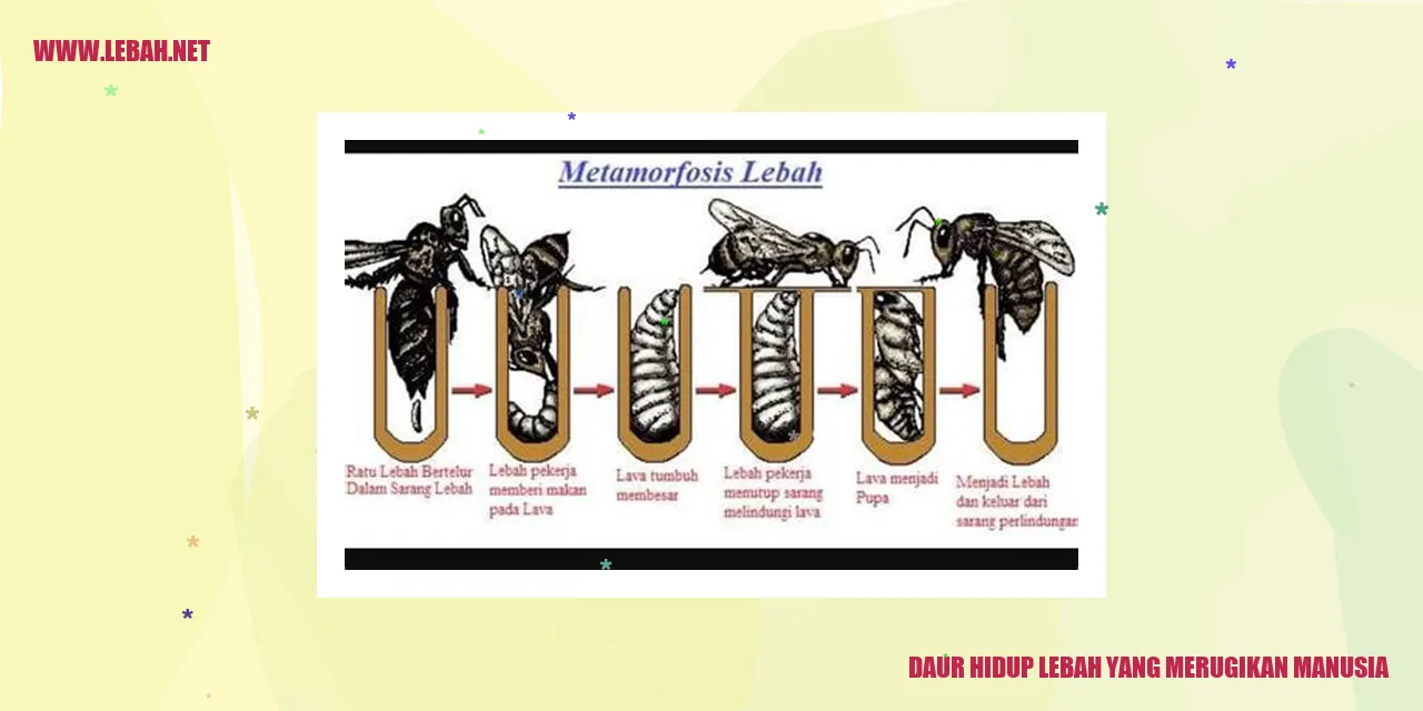 Daur Hidup Lebah yang Merugikan Manusia