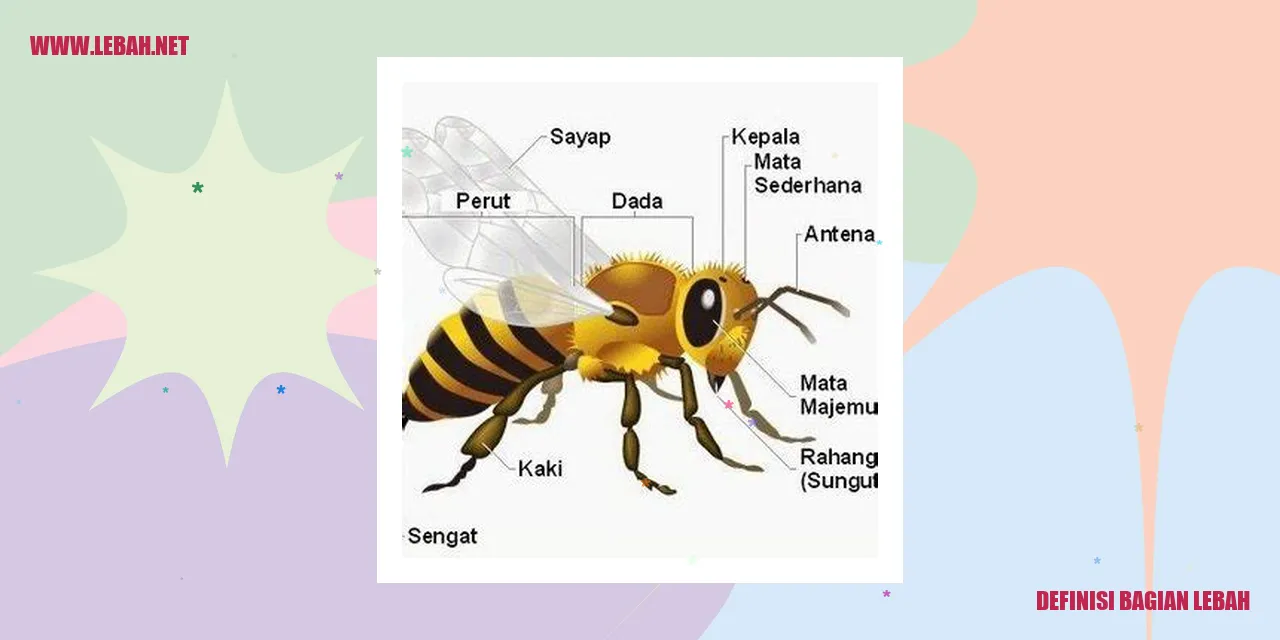 Definisi Bagian Lebah