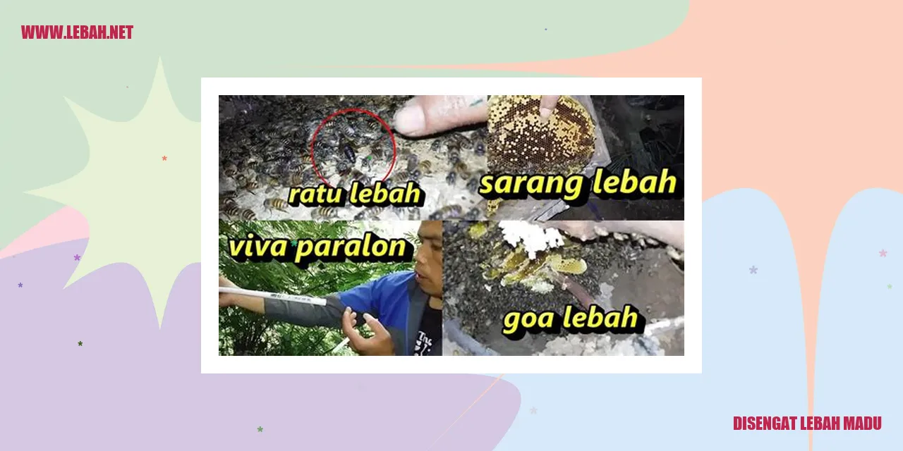 disengat lebah madu