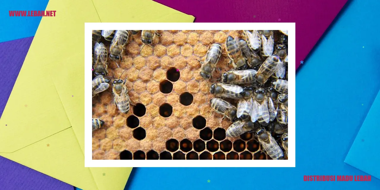 Distribusi Madu Lebah
