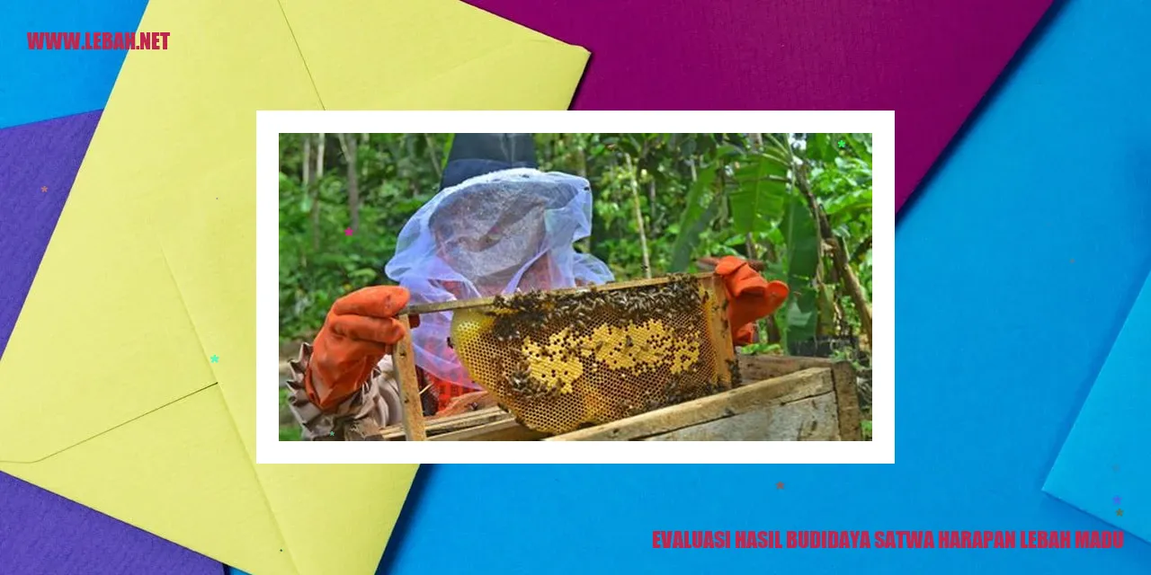 Evaluasi Hasil Budidaya Satwa Harapan Lebah Madu
