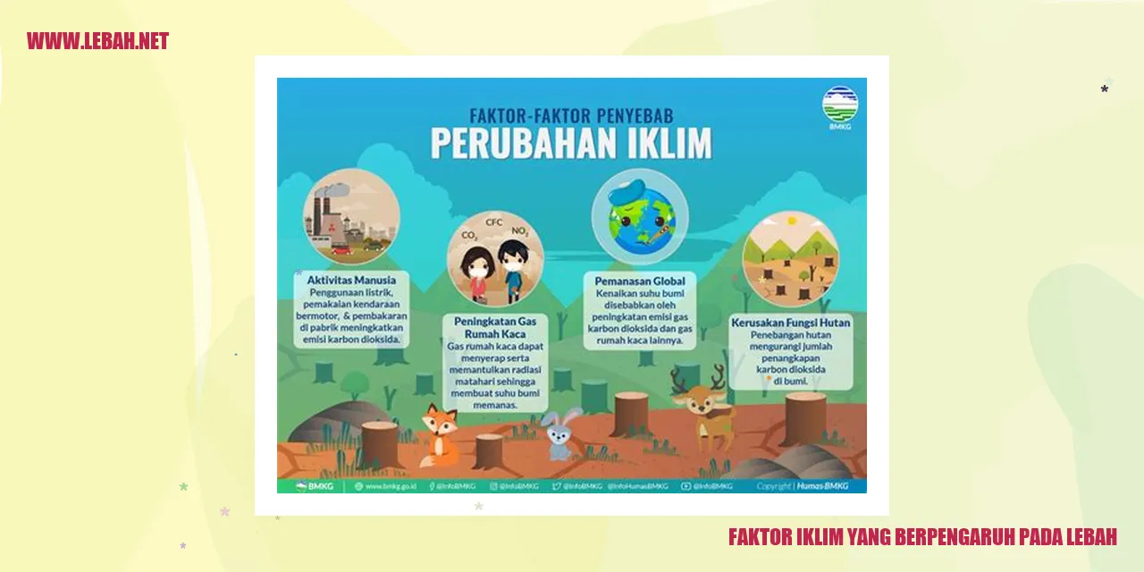Faktor Iklim yang Berpengaruh pada Lebah