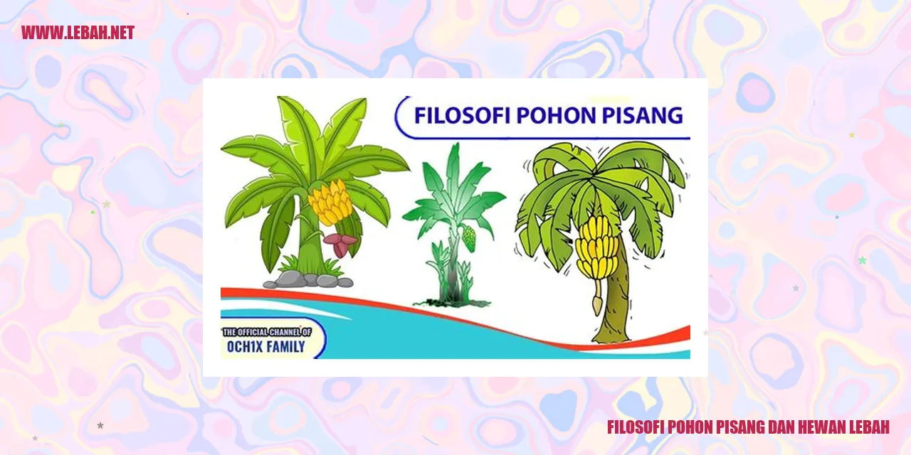 Pohon Pisang