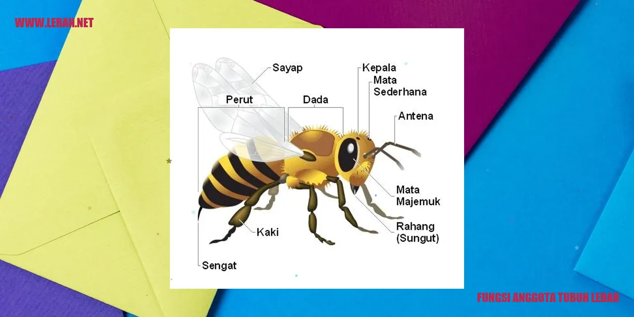 Gambar Kaki dan Cakar Lebah