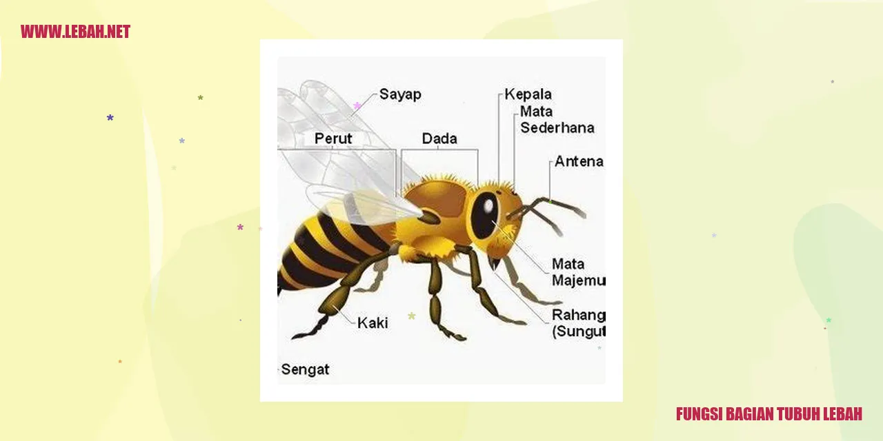 Antena Lebah