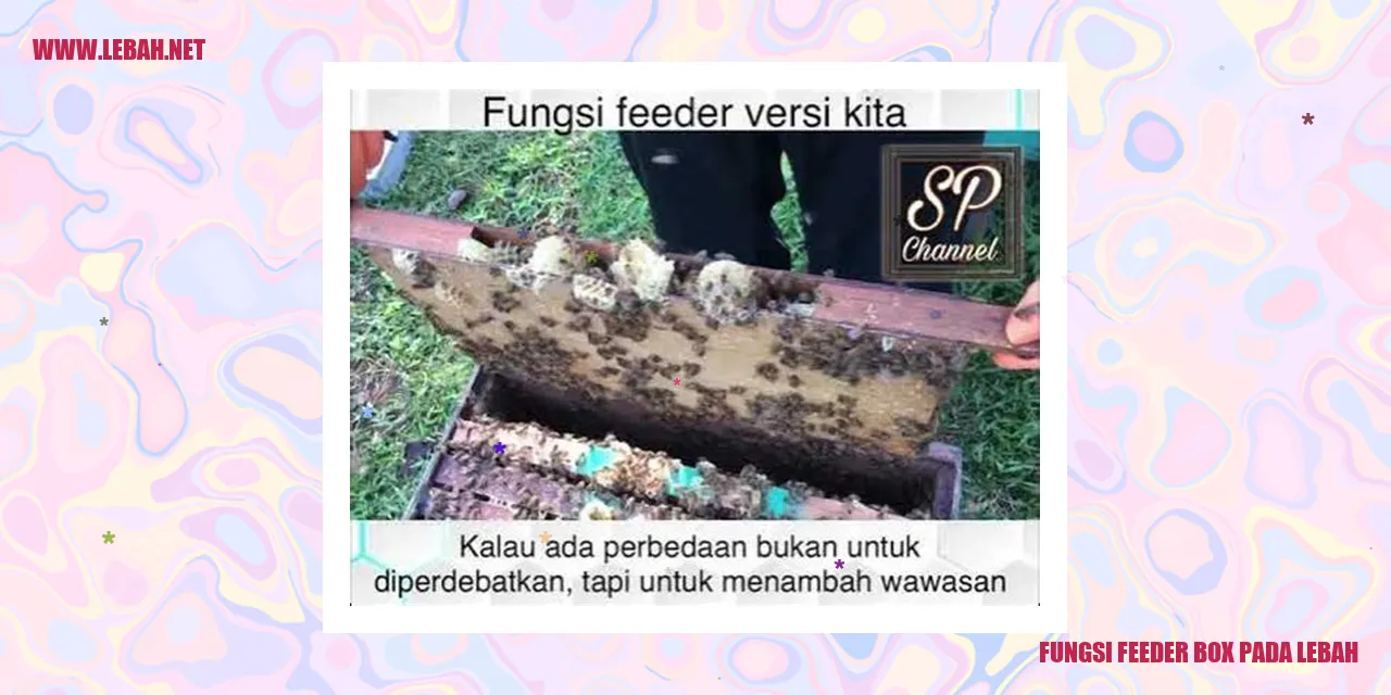 Fungsi Feeder Box pada Lebah