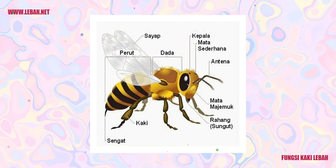Kaki Lebah