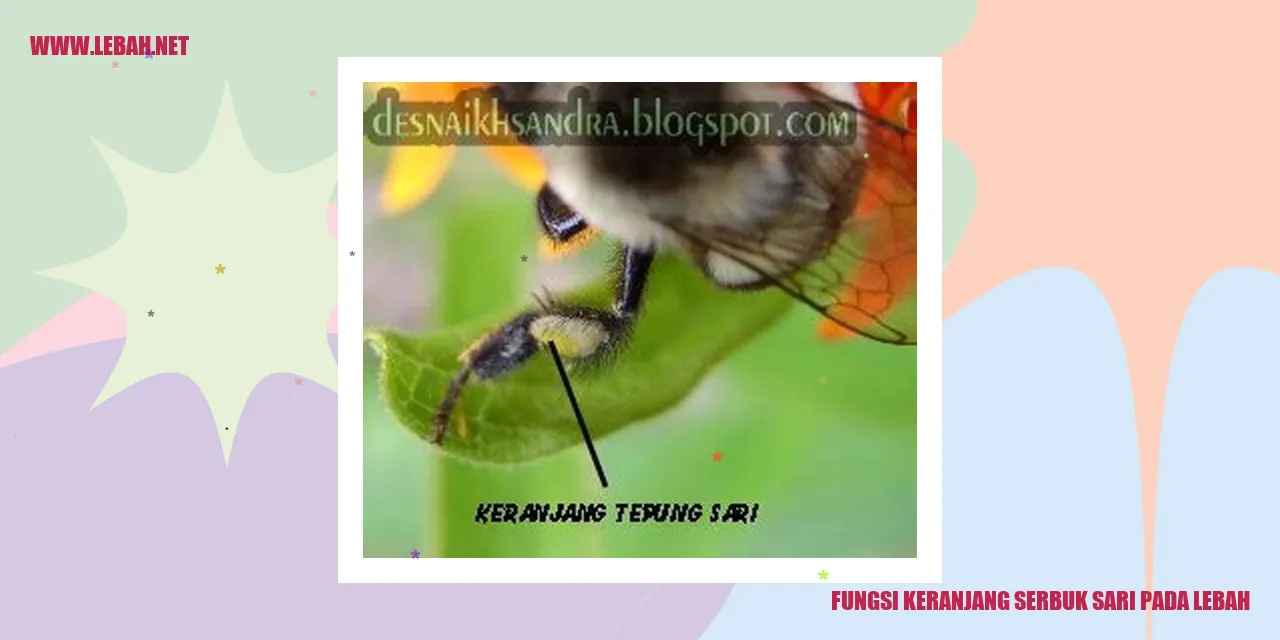 Fungsi Keranjang Serbuk Sari pada Lebah