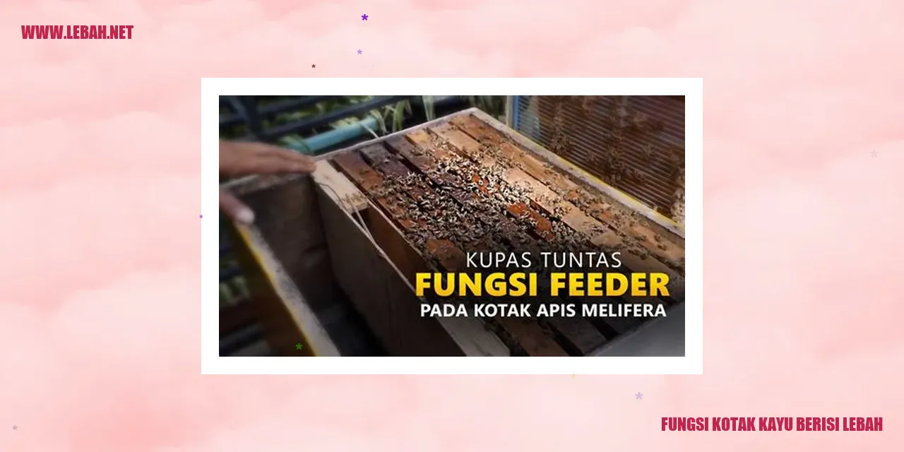 Kotak Kayu Berisi Lebah