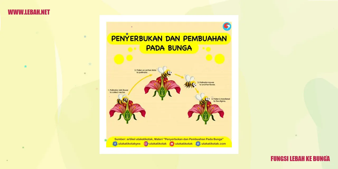 fungsi lebah ke bunga
