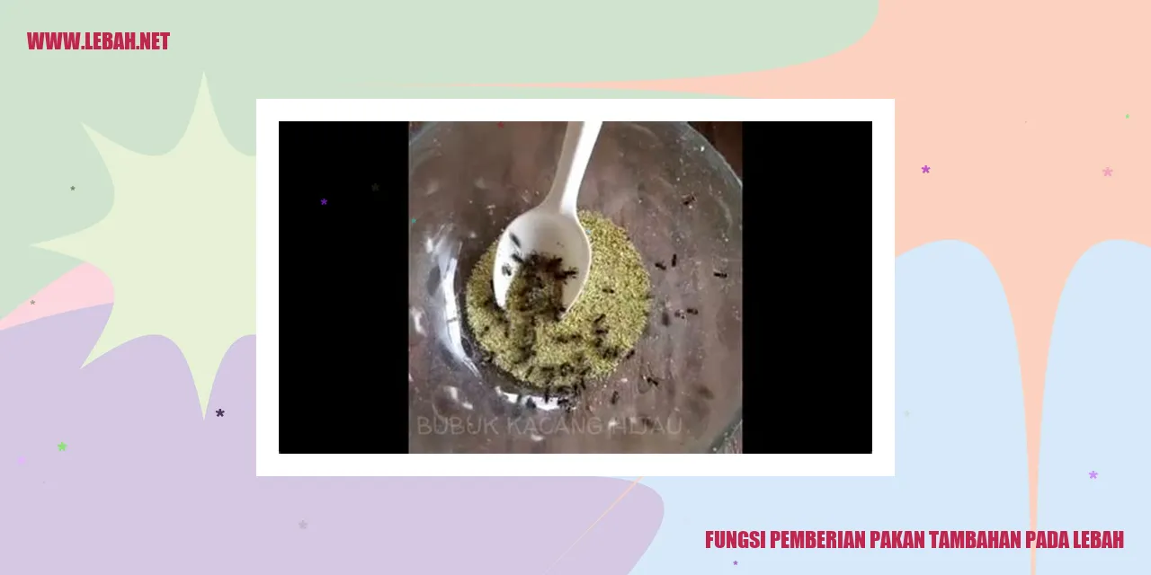 fungsi pemberian pakan tambahan pada lebah