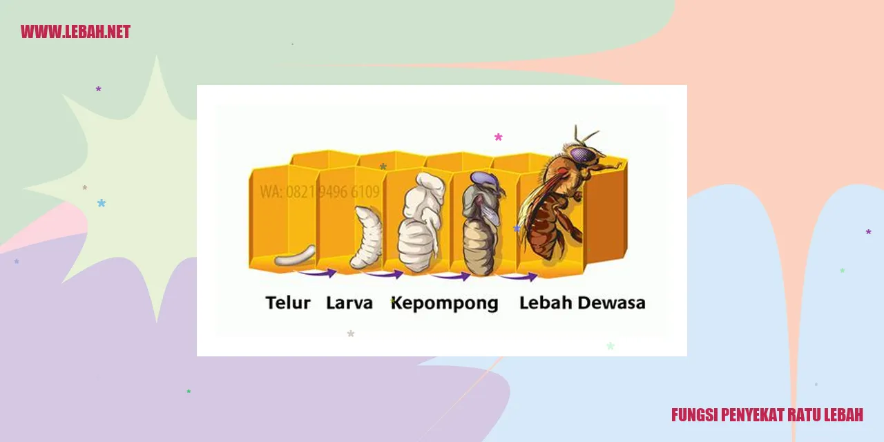 Penyekat Ratu Lebah