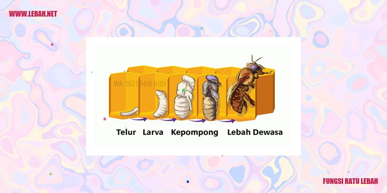 ratu lebah