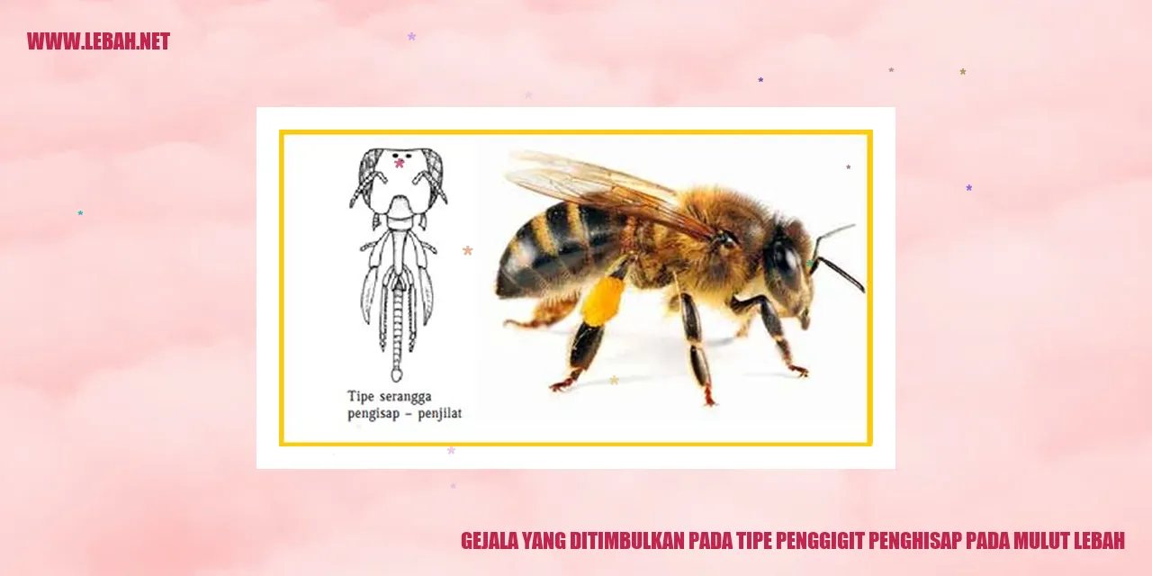 Gambar Lebah