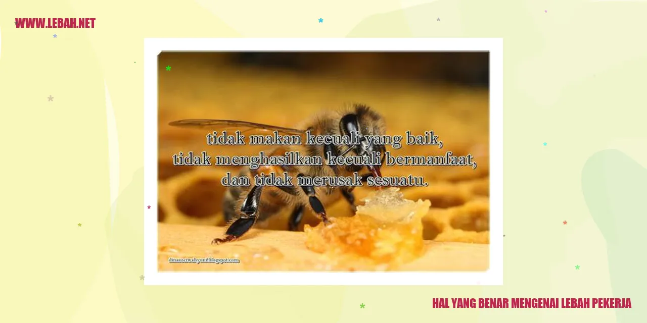 Lebah Pengumpul Nektar