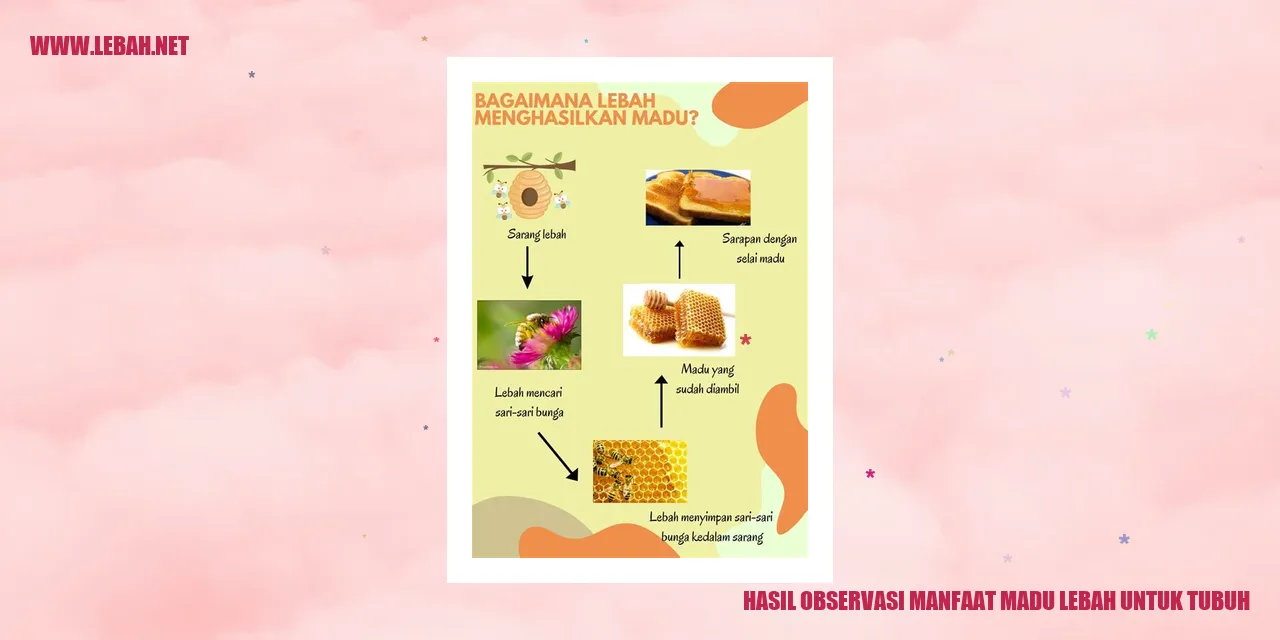 Meningkatkan Sistem Kekebalan Tubuh