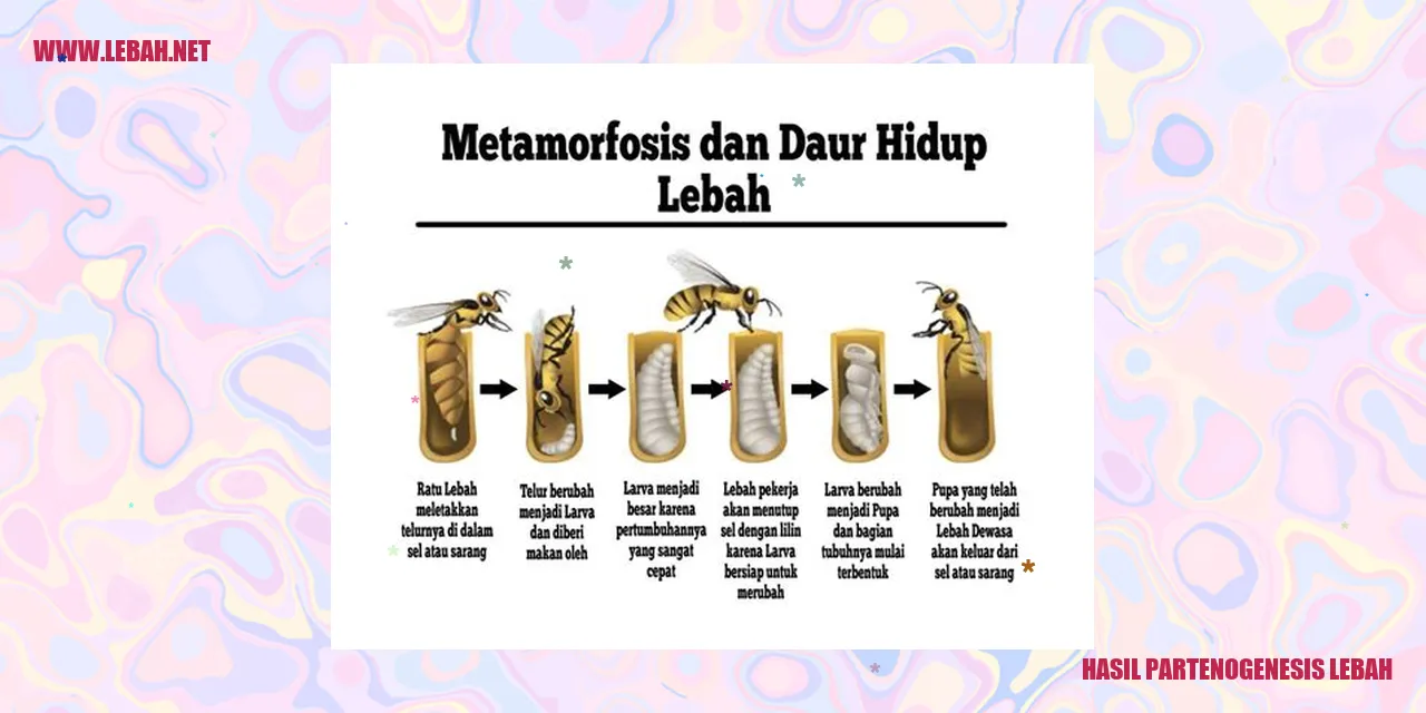 Hasil Partenogenesis Lebah