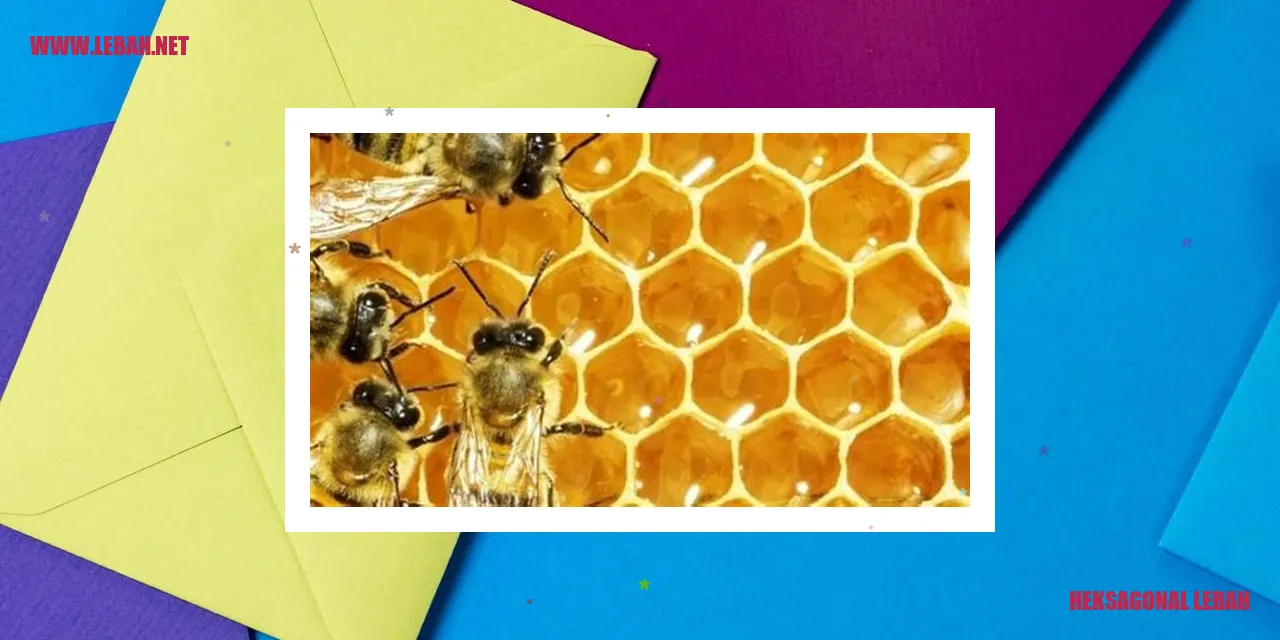Heksagonal Lebah