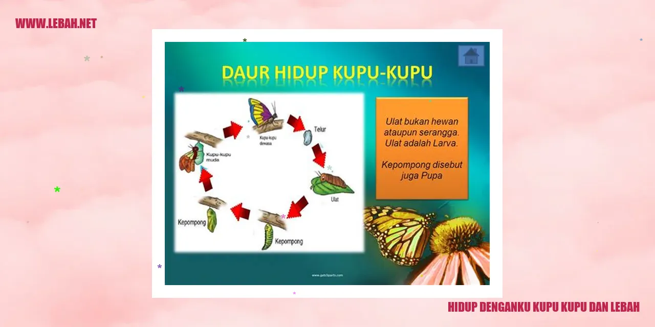 Gambar Kupu Kupu dan Lebah